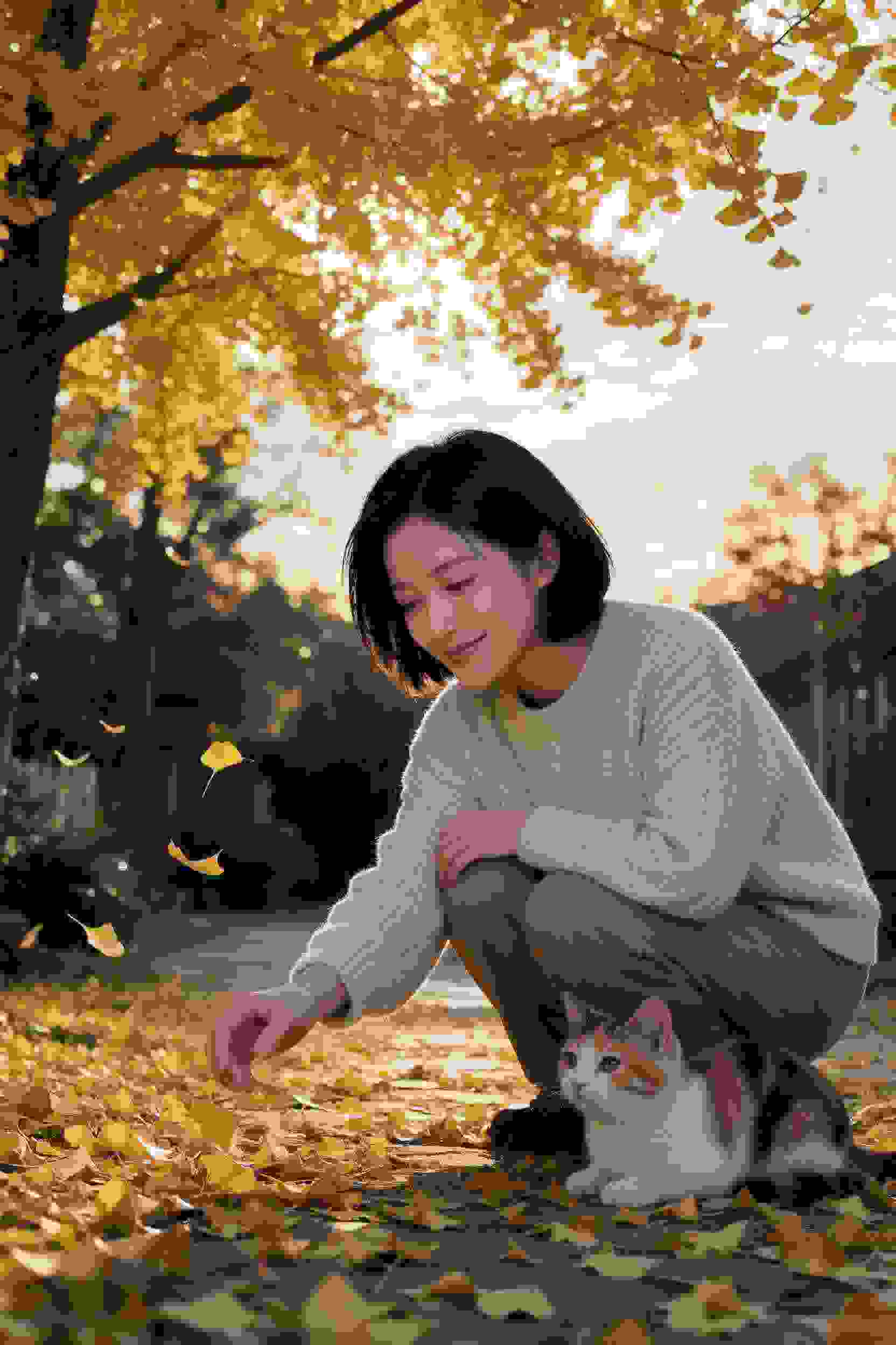 热门短剧